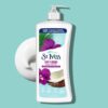 St. Ives Softening Coconut And Orchid Body Lotion -621ml